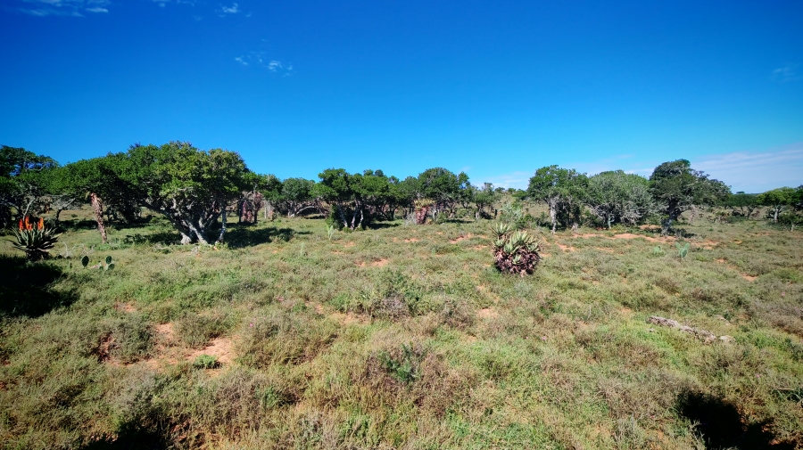 0 Bedroom Property for Sale in Somerset East Rural Eastern Cape